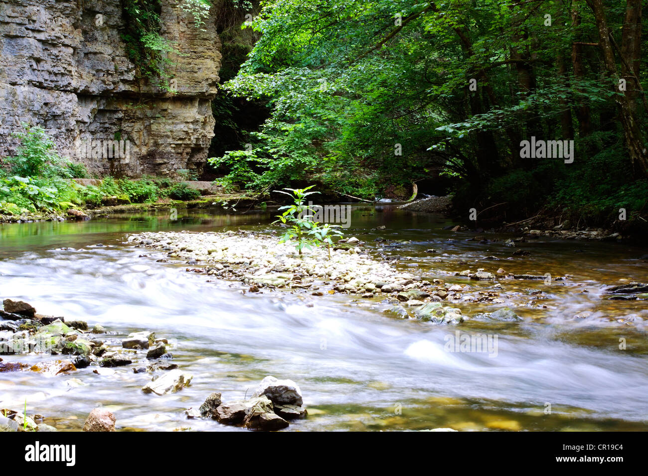 Parete del Muschelkalk, shellbearing roccia calcarea lungo il fiume Wutach in Wutach Gorge Riserva Naturale della Foresta Nera Foto Stock