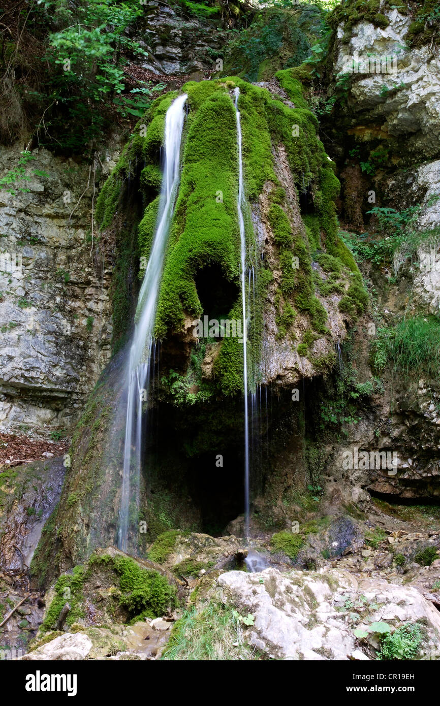 Tannegger cascata con le sue bizzarre formazione di tufo in Wutach Gorge Riserva Naturale della Foresta Nera, Baden-Wuerttemberg Foto Stock