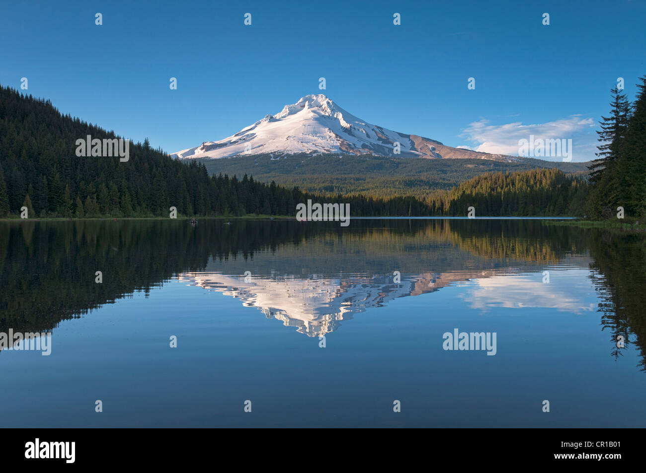 Stati Uniti d'America, Oregon, Clackamas County, Monte Cofano riflettendo in Trillium lago, Foto Stock