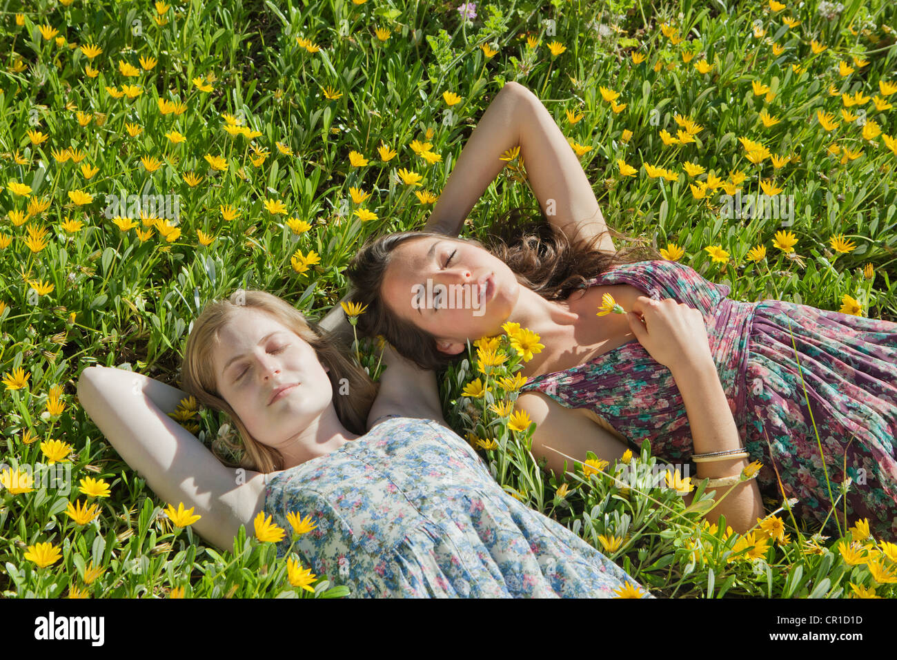 Le ragazze adolescenti che stabilisce nel campo dei fiori Foto Stock