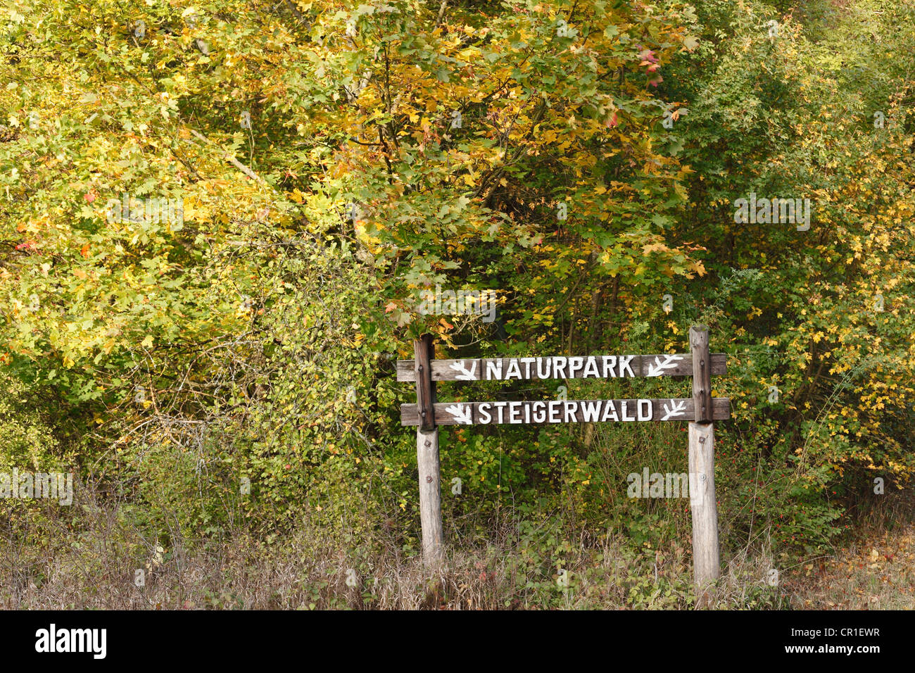 Segno, Parco Naturale di Steigerwald, bassa Franconia, Franconia, Baviera, Germania, Europa PublicGround Foto Stock