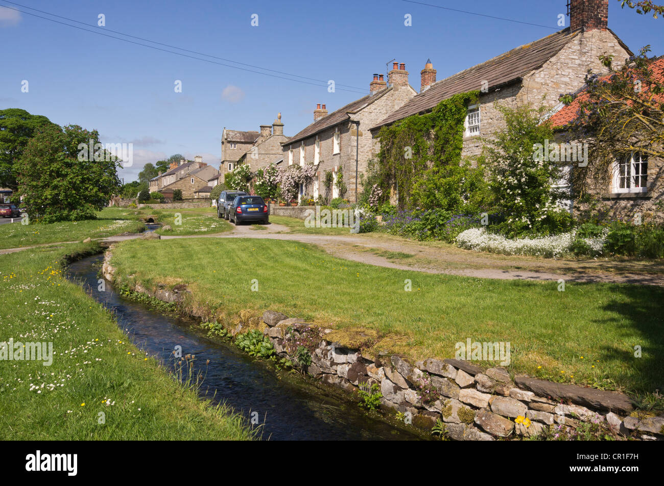 Bellerby villaggio vicino Leyburn, Wensleydale. Un angolo di verde villaggio. North Yorkshire Foto Stock