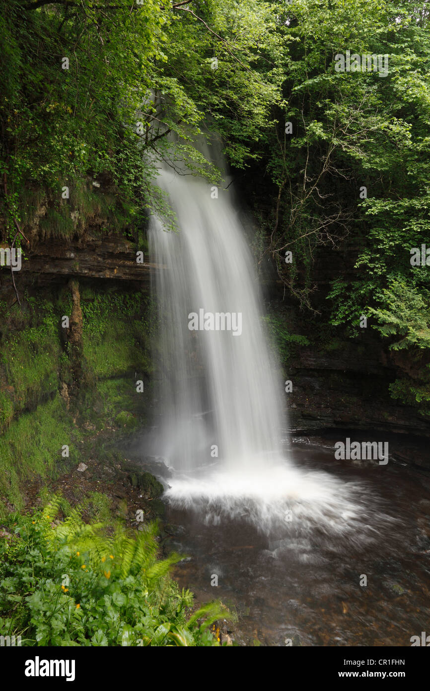 Cascata di Glencar a Glencar Lough, nella Contea di Leitrim, Connacht, Irlanda, Europa Foto Stock
