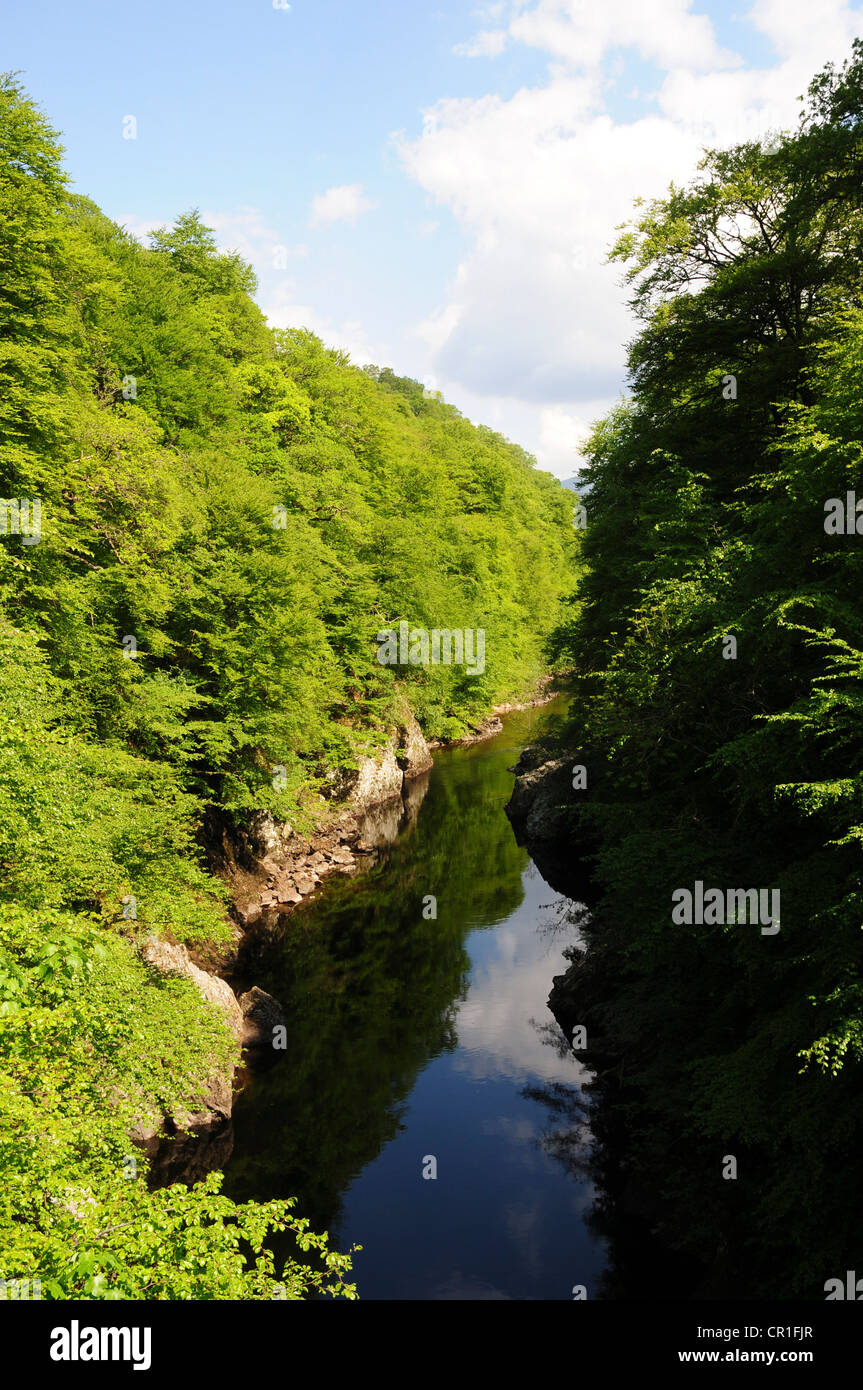 Linn di Tummel, Fiume Garry vicino Pitlochry, Perthshire Foto Stock