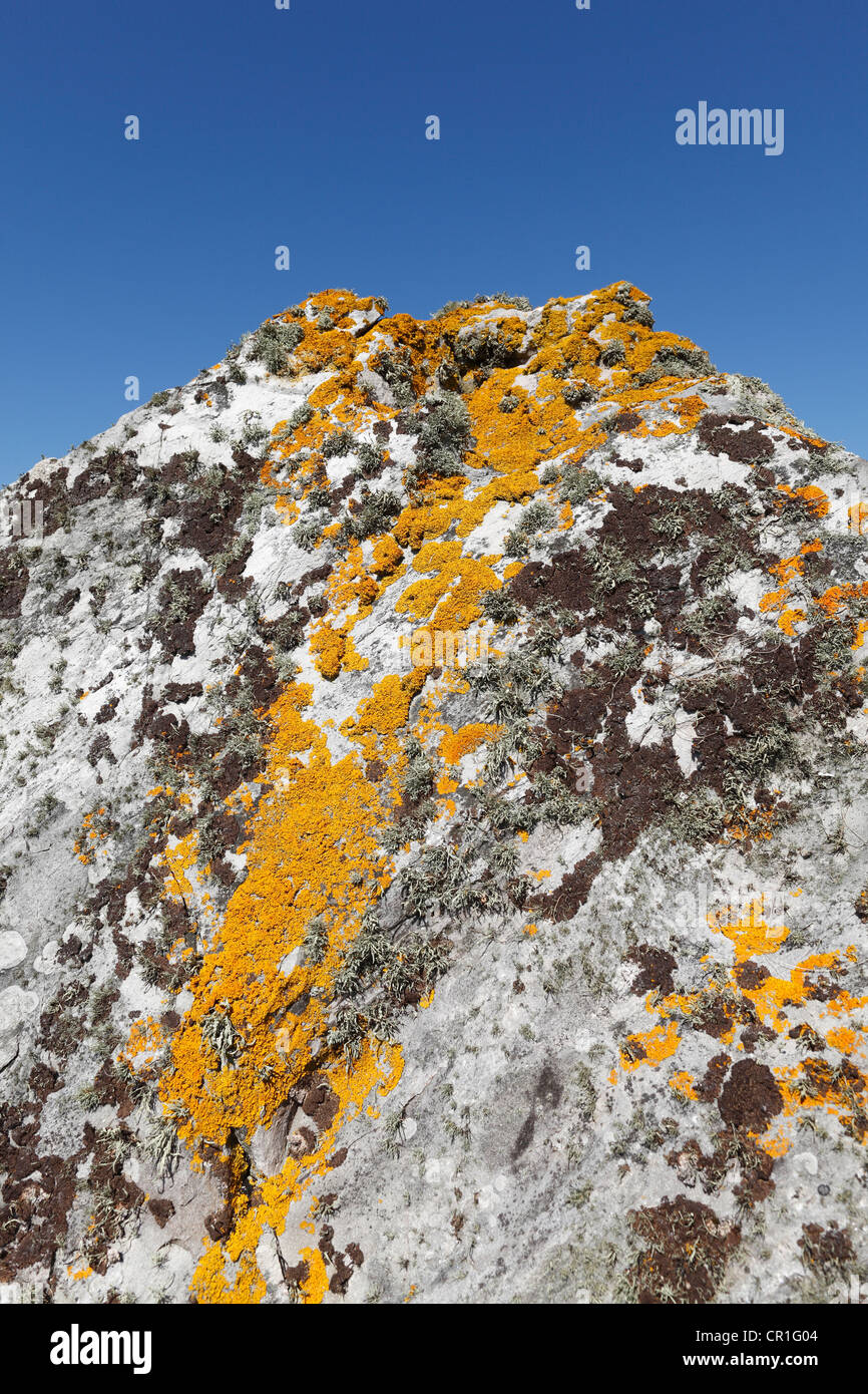 Roccia con licheni, Penisola di Inishowen, County Donegal, Irlanda Isole britanniche, Europa Foto Stock
