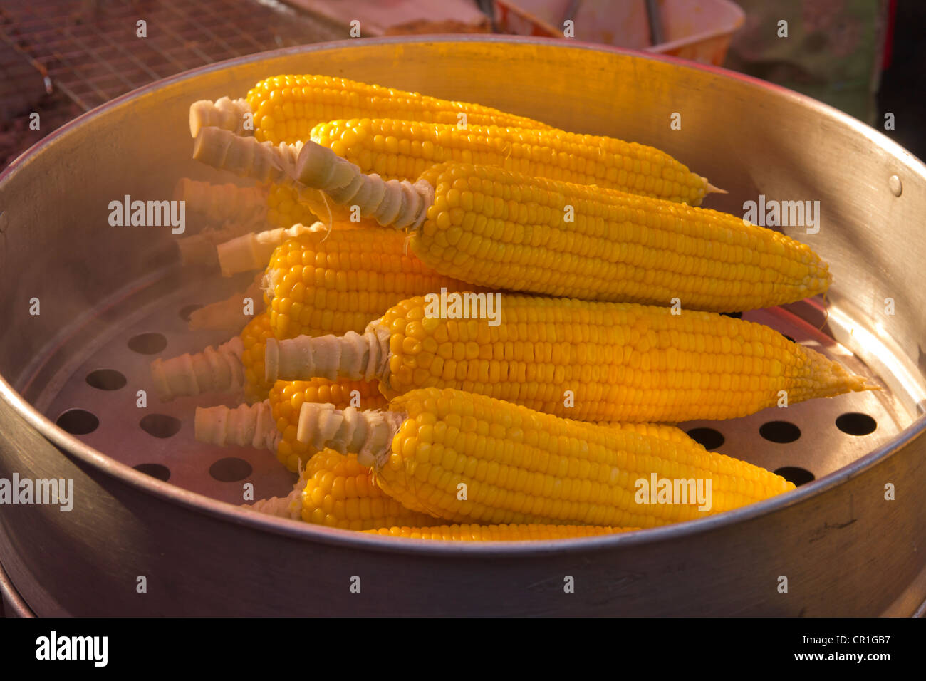 Giallo sulla pannocchia di mais della cottura a vapore in un mercato. Foto Stock