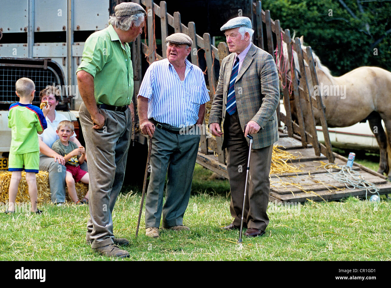 Regno Unito, il Galles, la Montagna Nera, fiera del bestiame in Llanthony Foto Stock