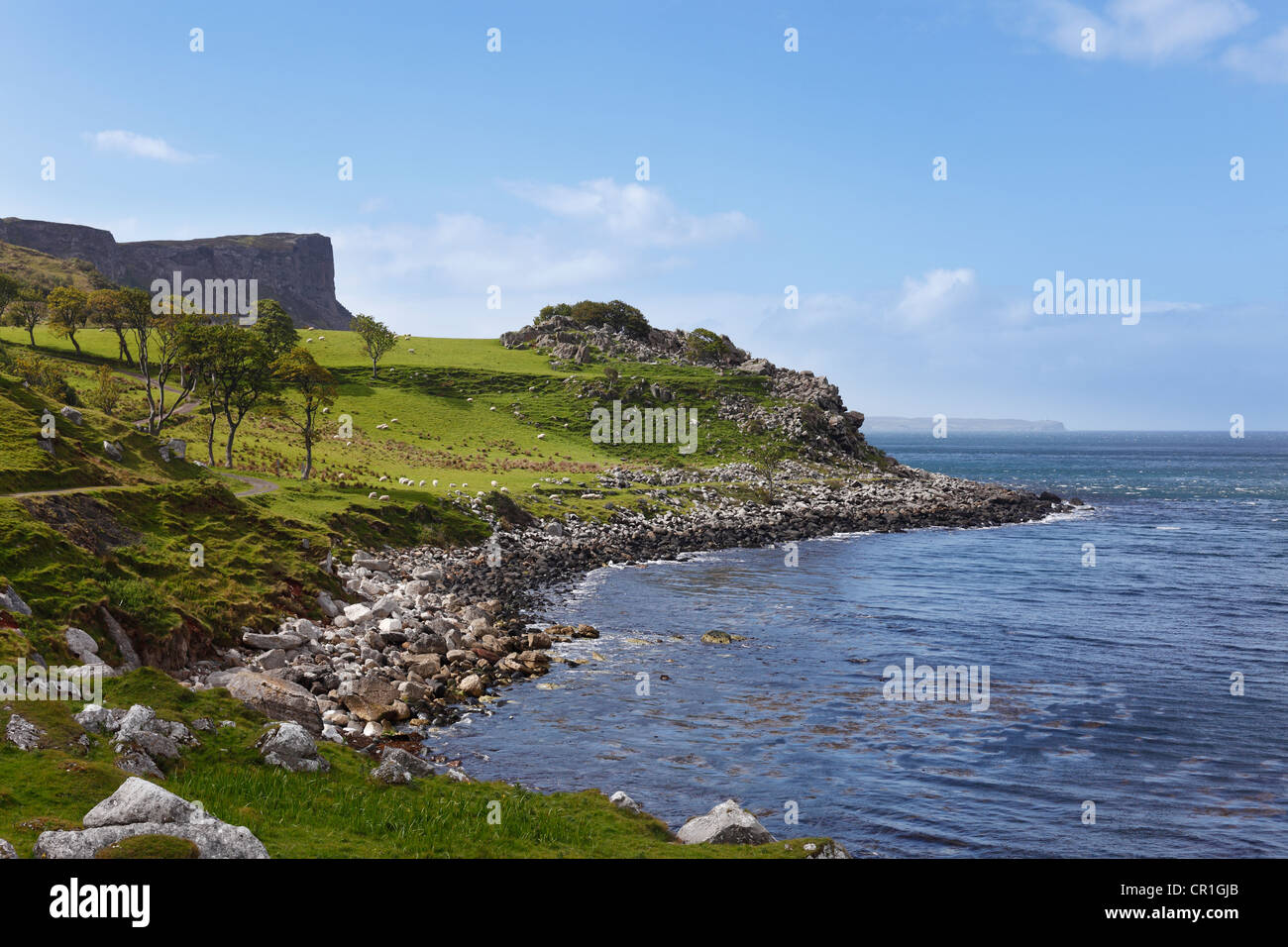 Murlough Bay vicino a Ballycastle, County Antrim, Irlanda del Nord, Regno Unito, Europa Foto Stock