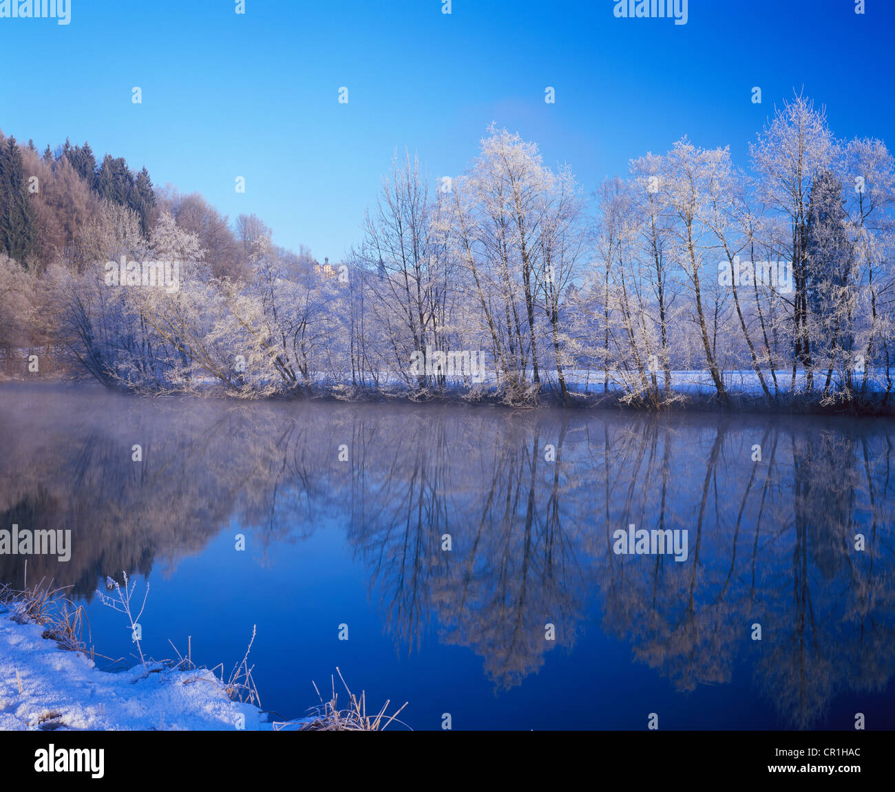 Coperte di neve alberi riflessa nel fiume Loisach vicino Eurasburg, Eurasburg Castello nel retro, Alta Baviera, Baviera Foto Stock