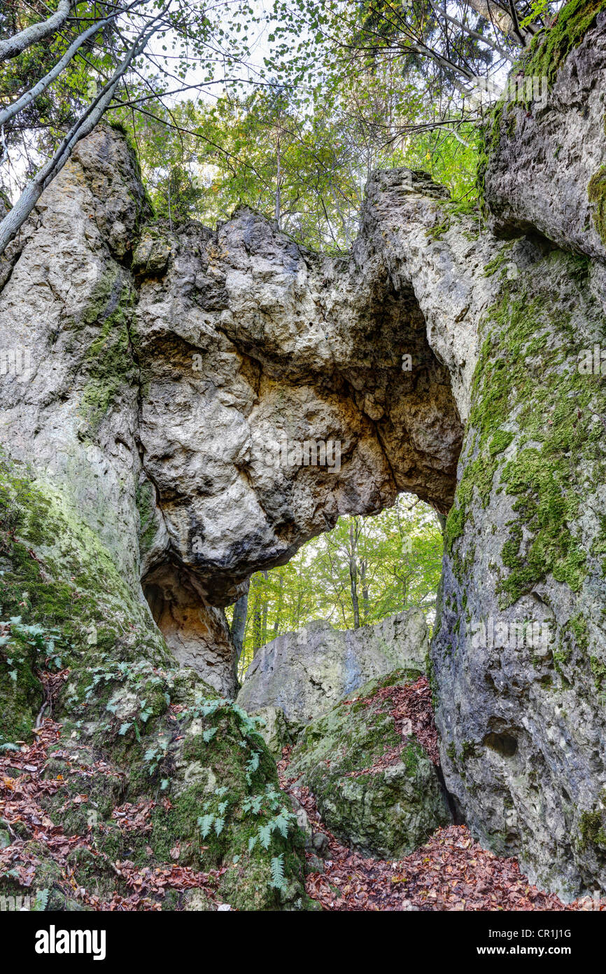 Schwingbogen arco di roccia nei pressi di Neudorf, Wiesenttal, Svizzera della Franconia, Alta Franconia, Franconia, Baviera, PublicGround Foto Stock