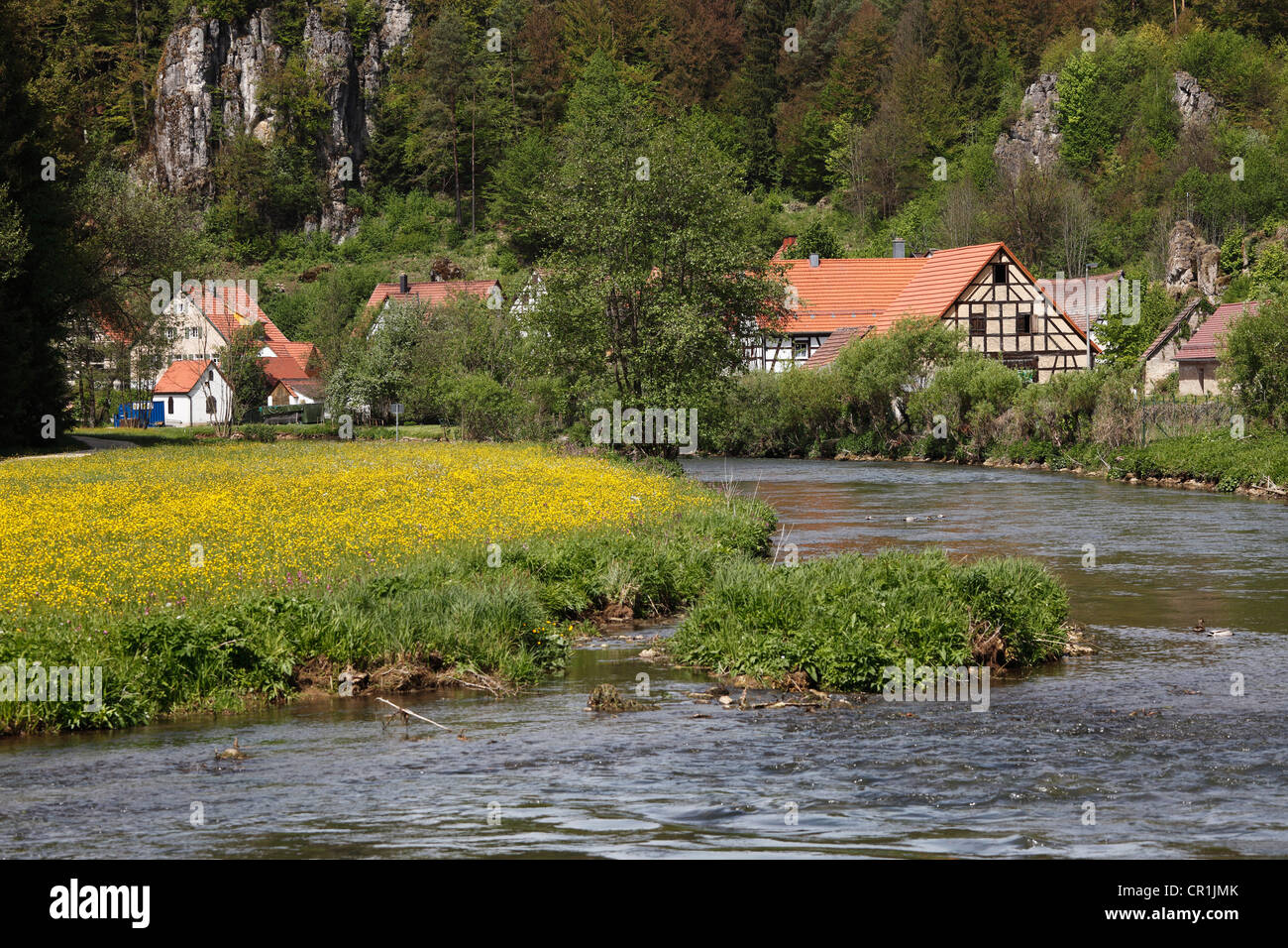 Il fiume Pegnitz e Lungsdorf, comune di Hartstein, Hersbrucker montagne Alb, Media Franconia, Franconia, Bavaria Foto Stock