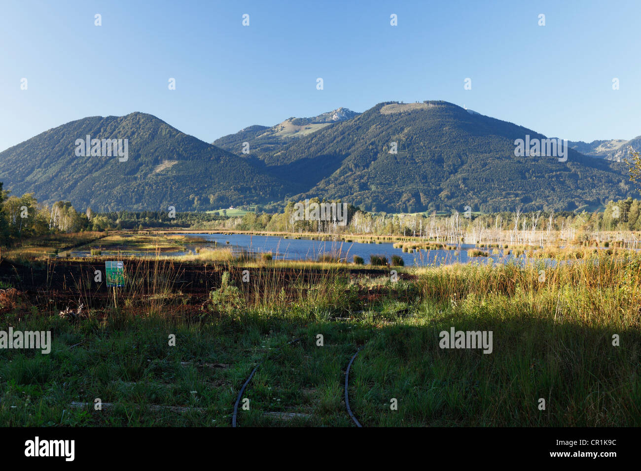 Nicklheimer Moor, torbiere moor restauro area tra Raubling e Bad Feilnbach, Mt Wildalpjoch e Mt Hochsalwand nel Foto Stock