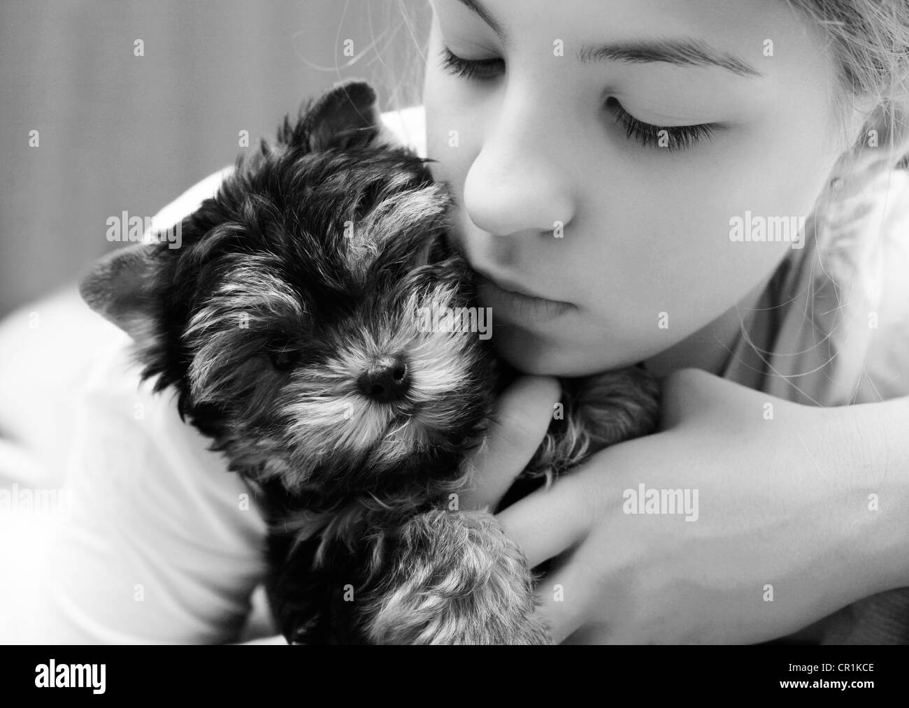 La ragazza abbraccia il cucciolo di Yorkshire Terrier Foto Stock