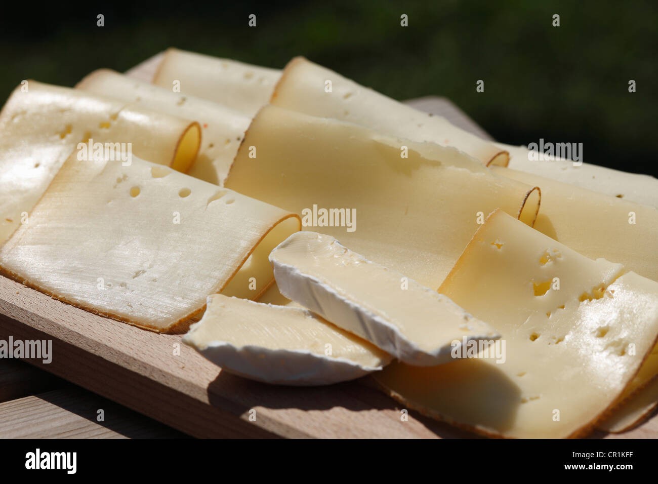 Formaggio, formaggi, naturale caseificio terra Tegernseer, Kreuth, Alta Baviera, Baviera, Germania, Europa Foto Stock