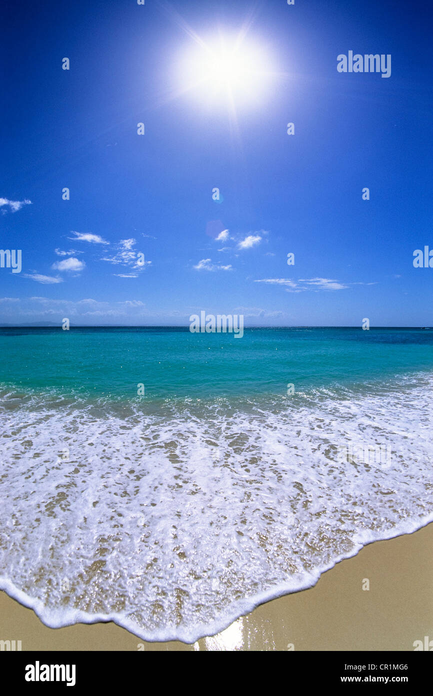 Soleggiata spiaggia sabbiosa, Repubblica Dominicana, dei Caraibi Foto Stock