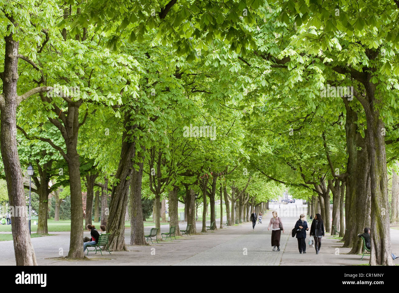 La Svizzera di Ginevra, Parc Des Bastions (bastioni parco), bastioni a piedi con i suoi alberi di castagno Foto Stock