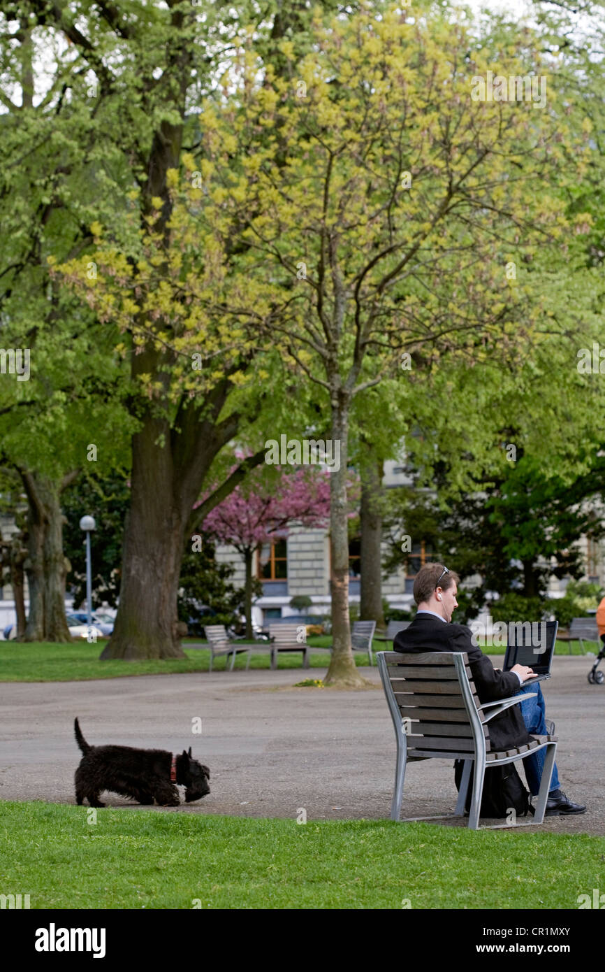 La Svizzera, Ginevra, Giardino inglese, uomo d affari al lavoro sul suo computer portatile Foto Stock