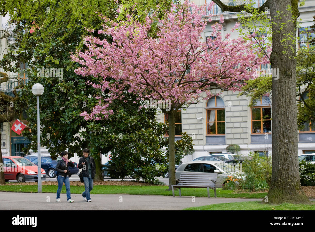 La Svizzera di Ginevra, British giardino, il generale Guisan Qauy in background Foto Stock