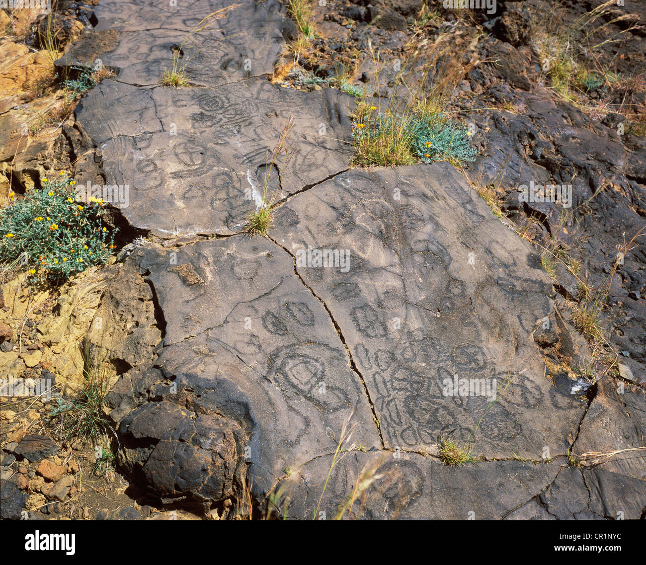 Più in anticipo le pitture rupestri degli indigeni Los Letreros, El Julan, El Hierro, Isole Canarie, Spagna, Europa Foto Stock