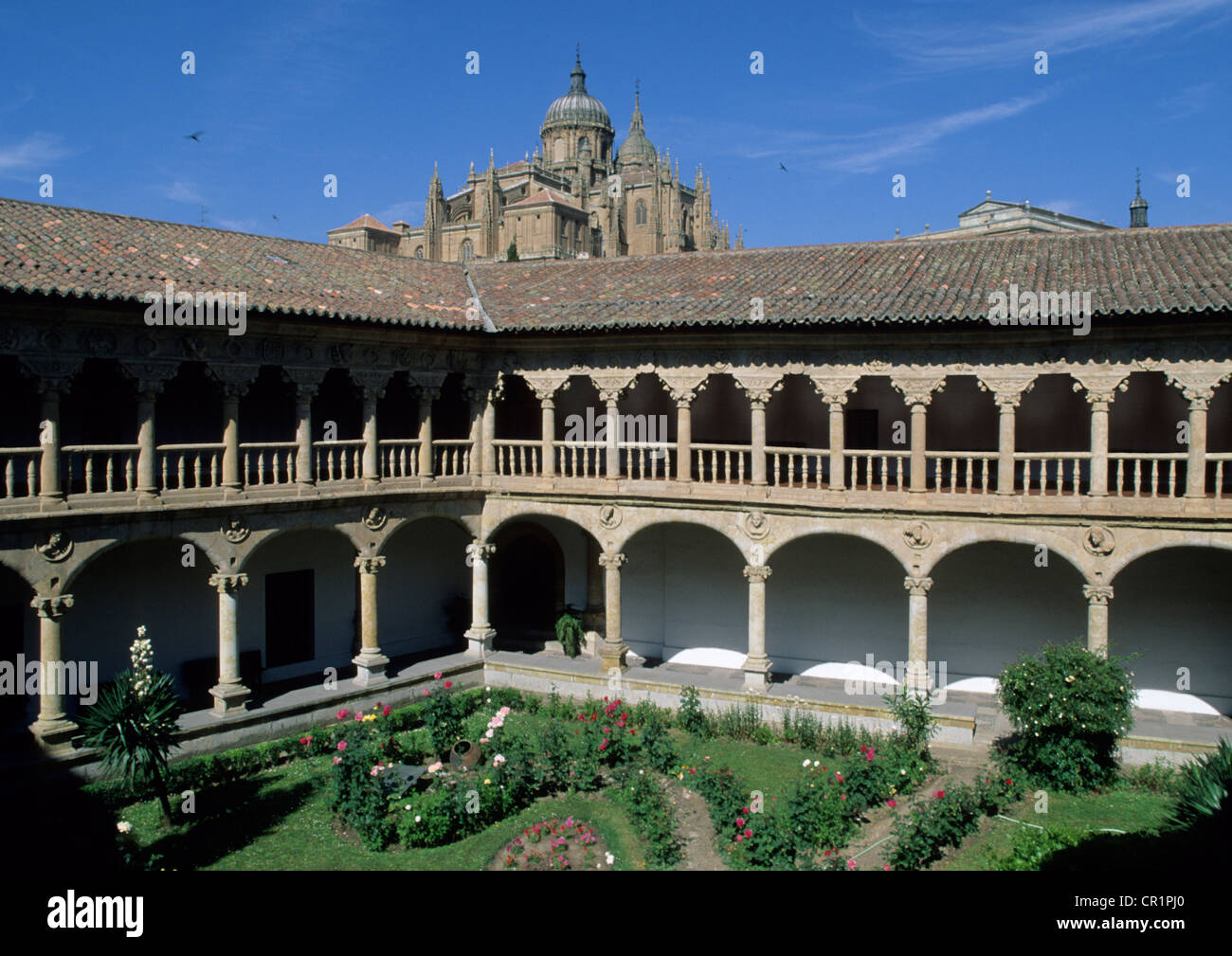 Spagna, Castilla y León, Salamanca, la vecchia città patrimonio mondiale UNESCO, las Duenas convento, il suo chiostro Foto Stock
