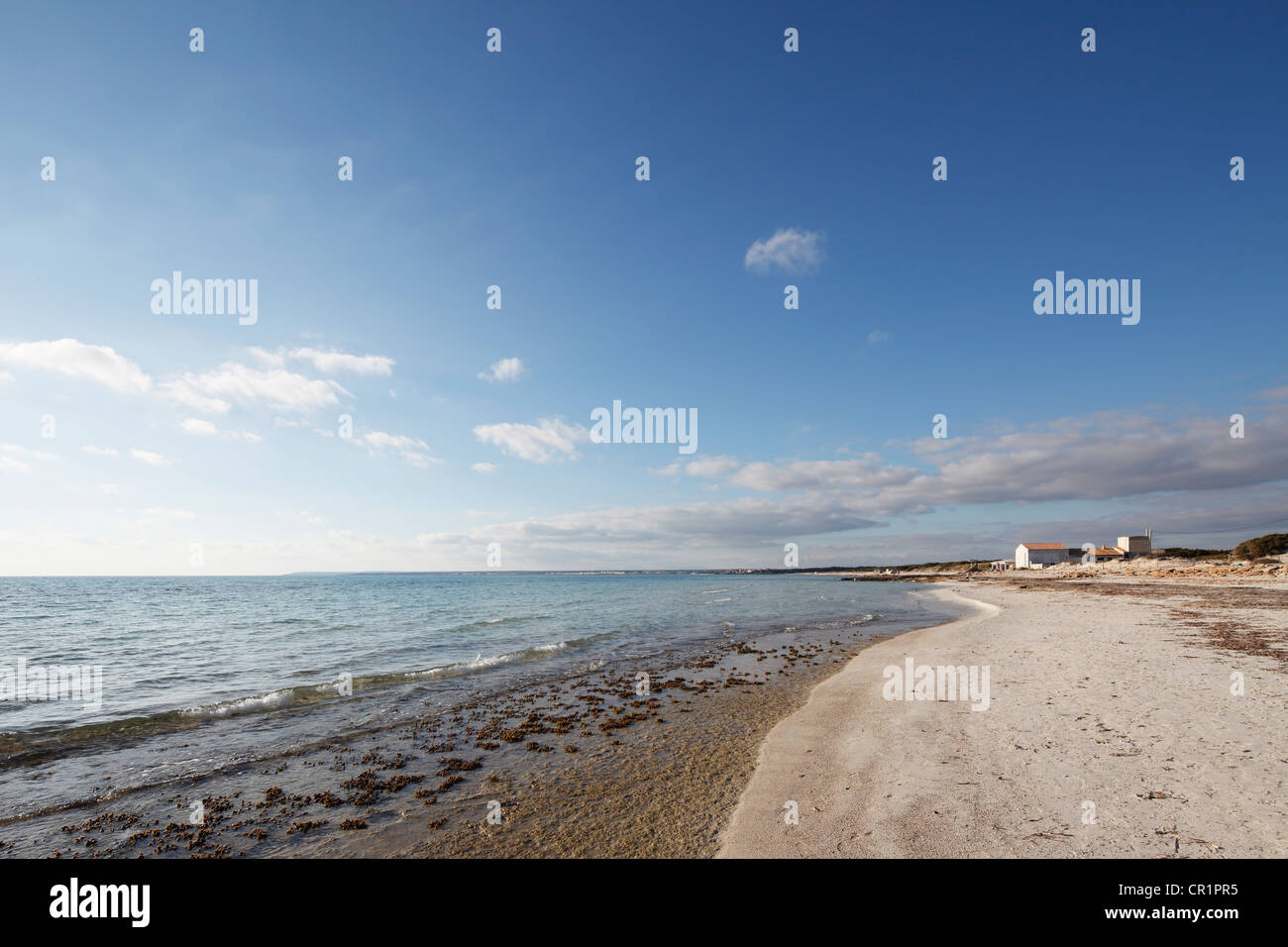 Spiaggia Es Trenc, Colonia Sant Jordi a Maiorca, isole Baleari, Spagna, Europa Foto Stock