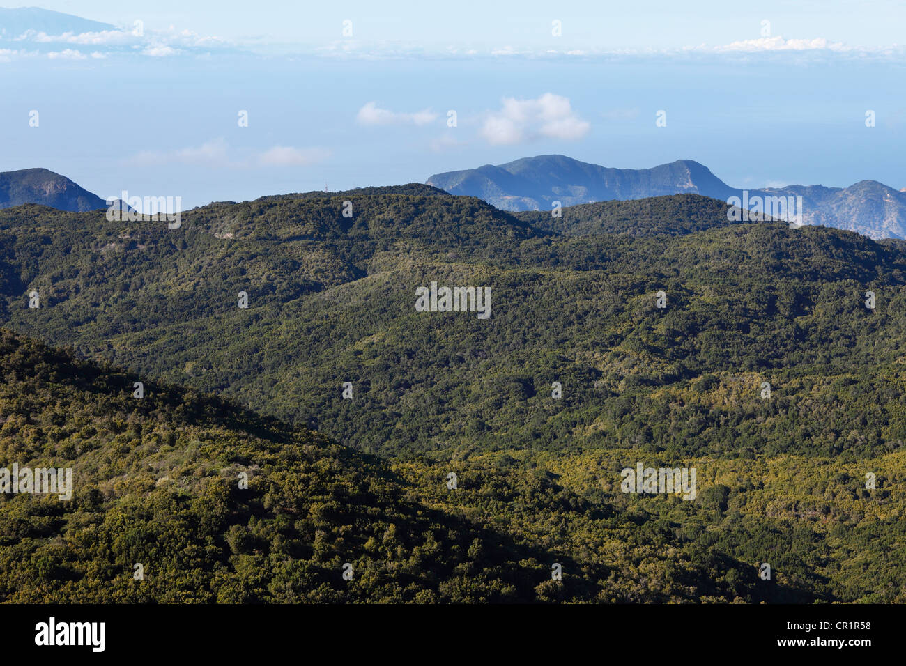 Le colline boscose nel Parco Nazionale di Garajonay, vista dal monte Garajonay, il picco più alto di La Gomera, , Spagna, Europa Foto Stock