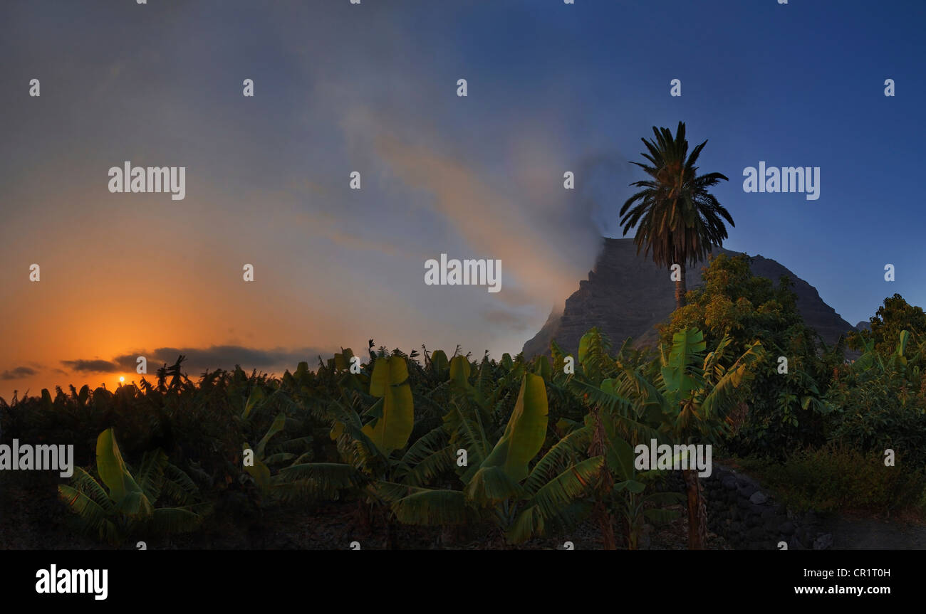 Piantagione di banane al tramonto nella fertile valle di Valle Gran Rey, La Gomera, isole Canarie, Spagna, Europa Foto Stock