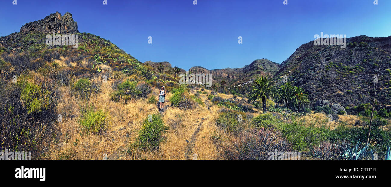 Valle fertile di Imada con palme e gli escursionisti, La Gomera, isole Canarie, Spagna, Europa Foto Stock
