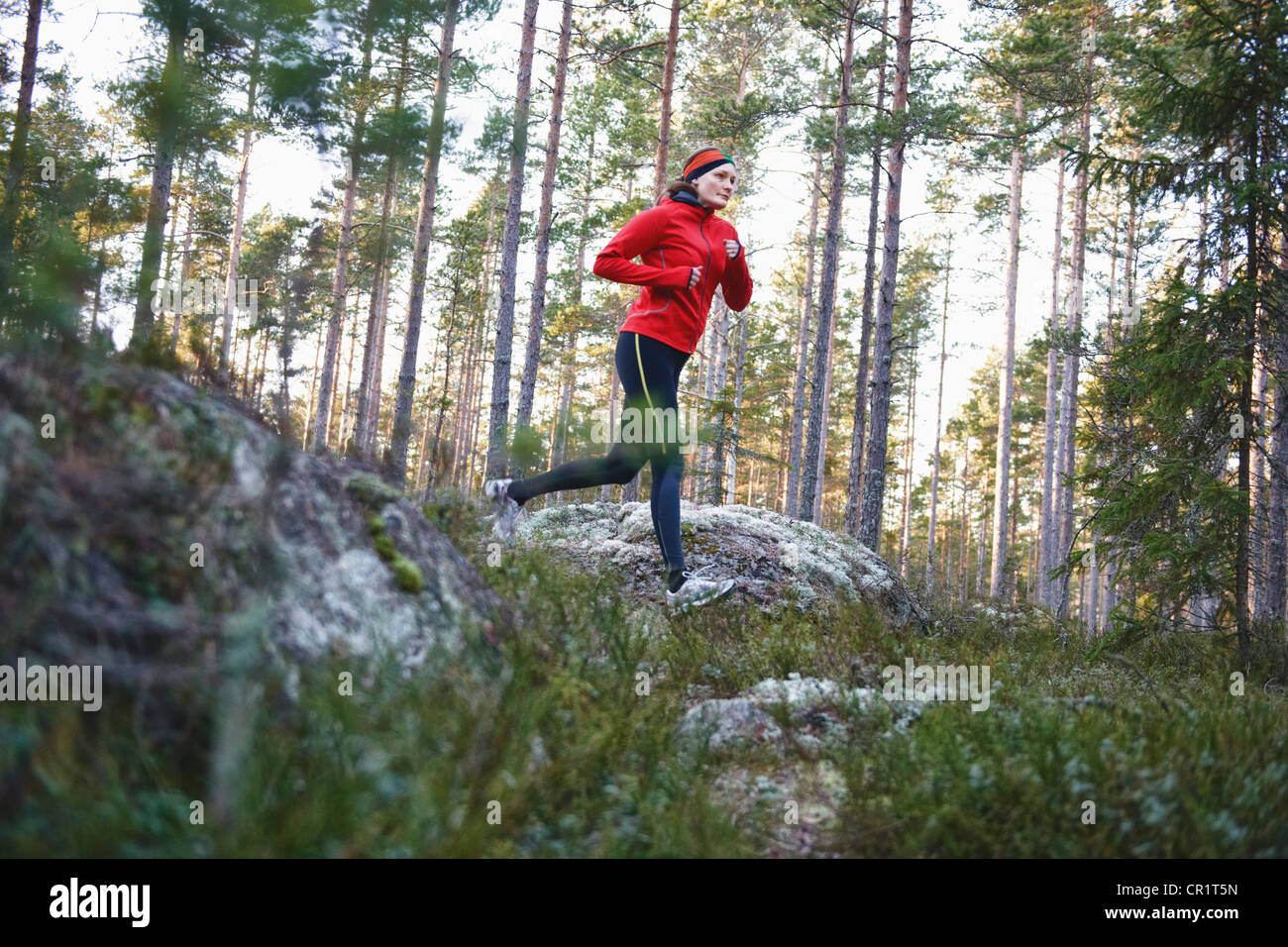 La donna in esecuzione nella foresta Foto Stock