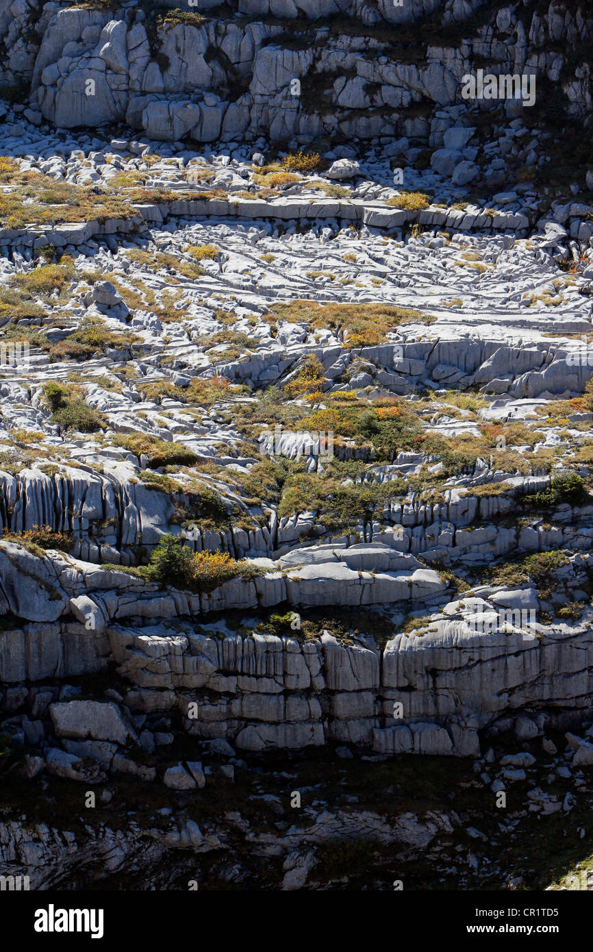 Pavimenti calcarei, karst landforms, geologia su Gamser Rugg Mountain, Toggenburgo, cantone di San Gallo, Svizzera, Europa Foto Stock
