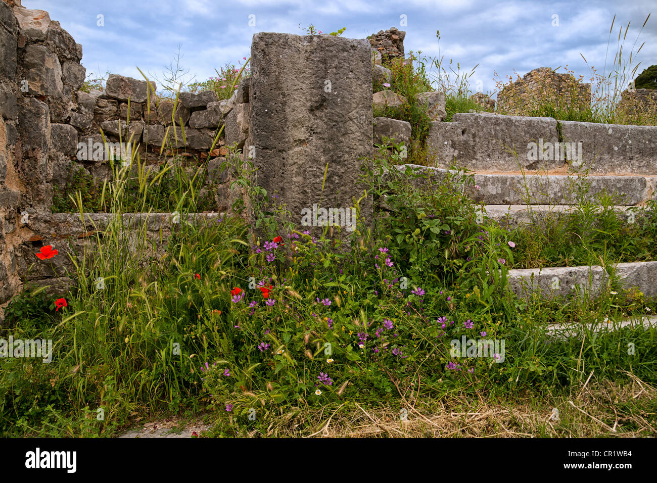 I resti di epoca romana a Salona, solin, Croazia Foto Stock