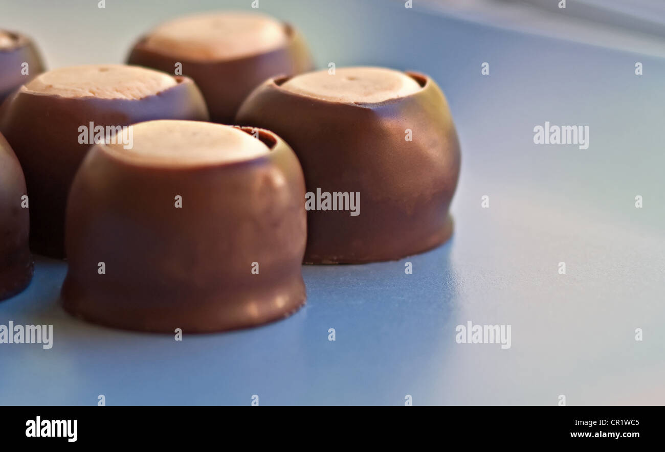 Dessert macro immagine alimentare è un cioccolato burro di arachidi candy, cookie noto nel Sud come gli occhi di Buck Foto Stock