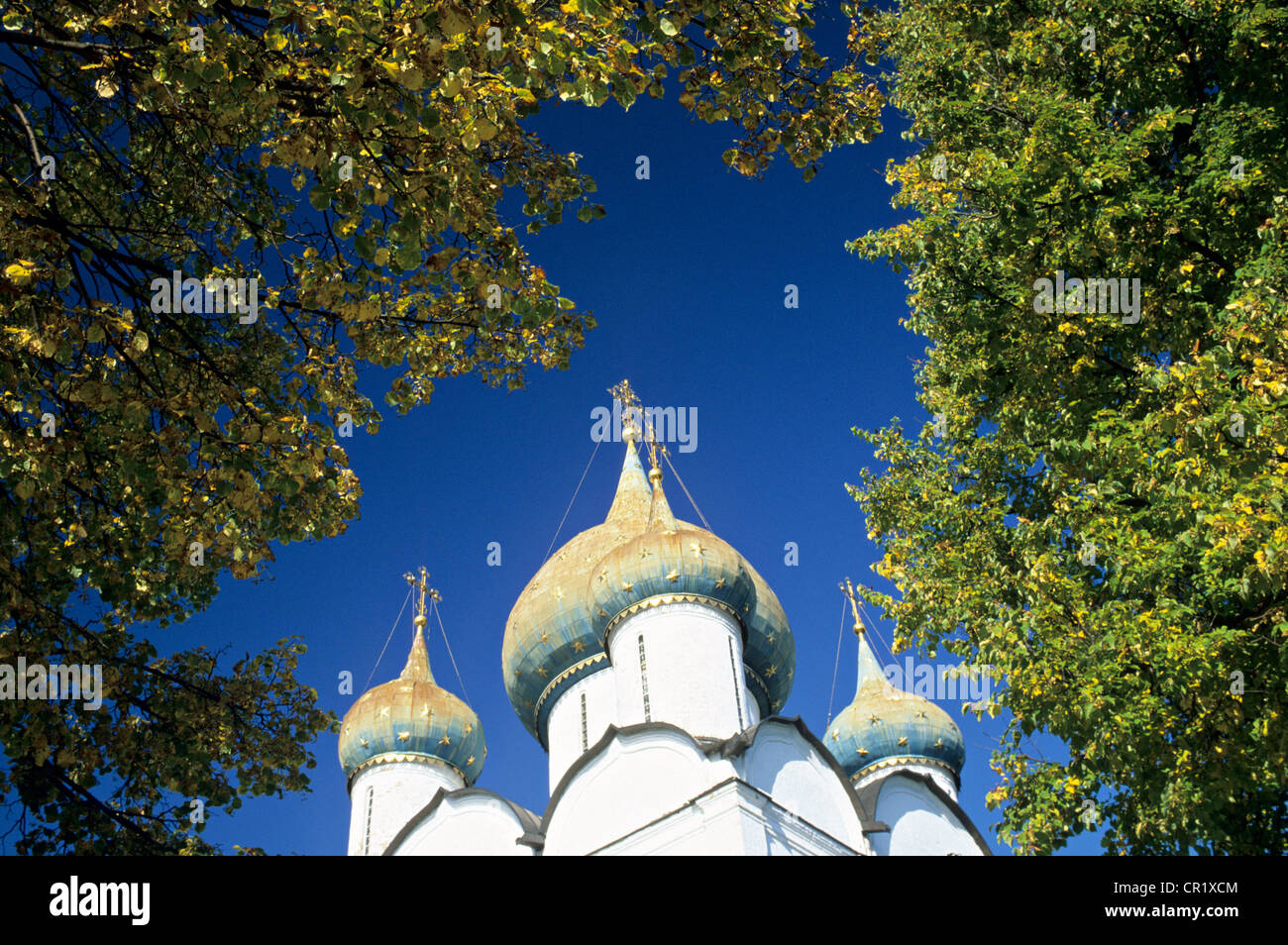 Russia, Suzdal Patrimonio Mondiale UNESCO, ex culturali e luoghi religiosi, parte dell'anello d'Oro, San Euthymius monastero, Foto Stock