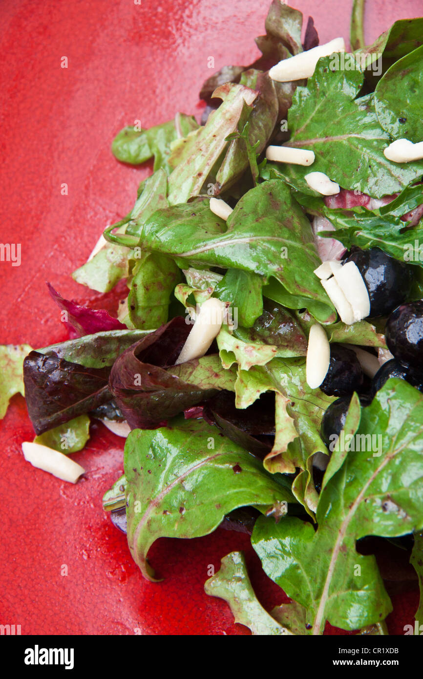 Verdi organici con vinaigrette a base di mirtillo, mirtilli e mandorle tostate Foto Stock