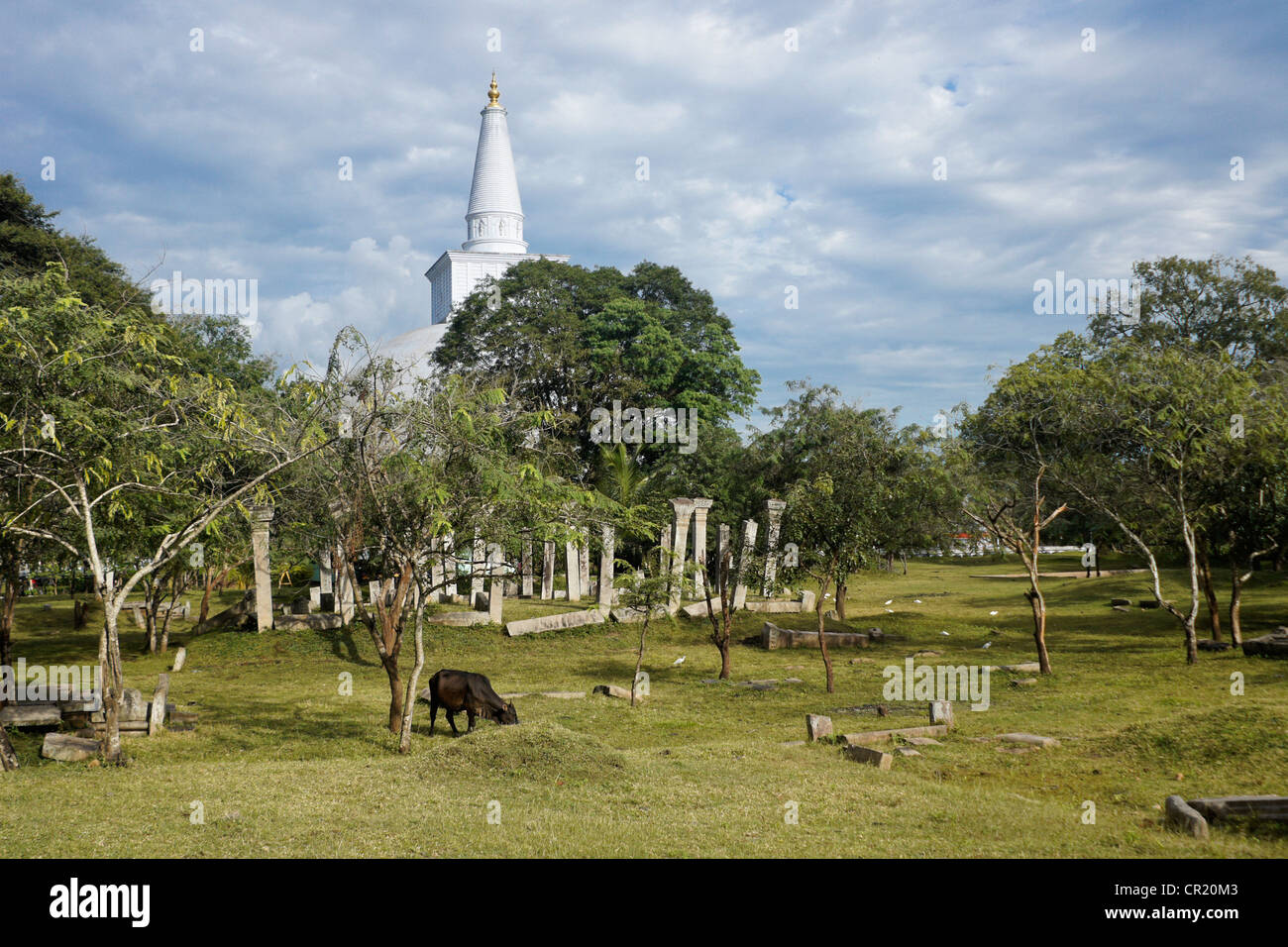 Ruvanvelisaya Dagoba e rovine di Anuradhapura, Sri Lanka Foto Stock