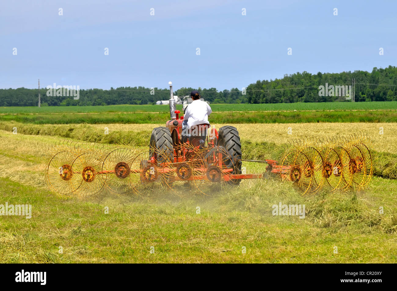 Il trattore è in funzione campo di fattoria di rastrellare il fieno vicino Croswell Michigan Foto Stock