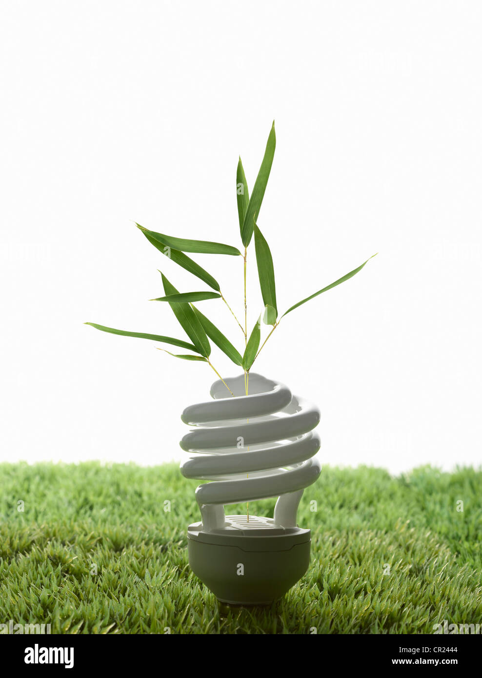 La luce fluorescente lampadina in erba Foto Stock