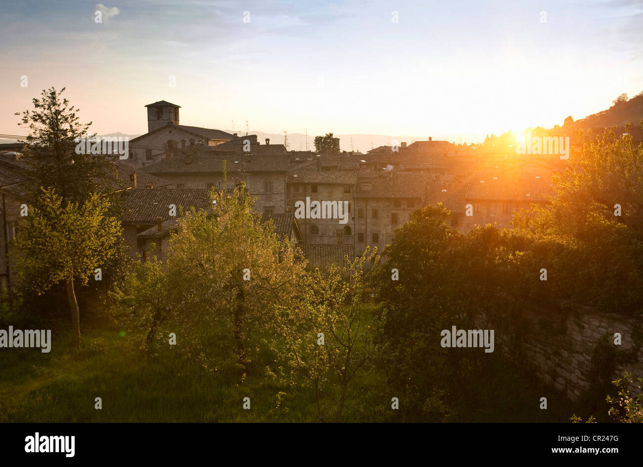 Alberi che crescono in village park Foto Stock