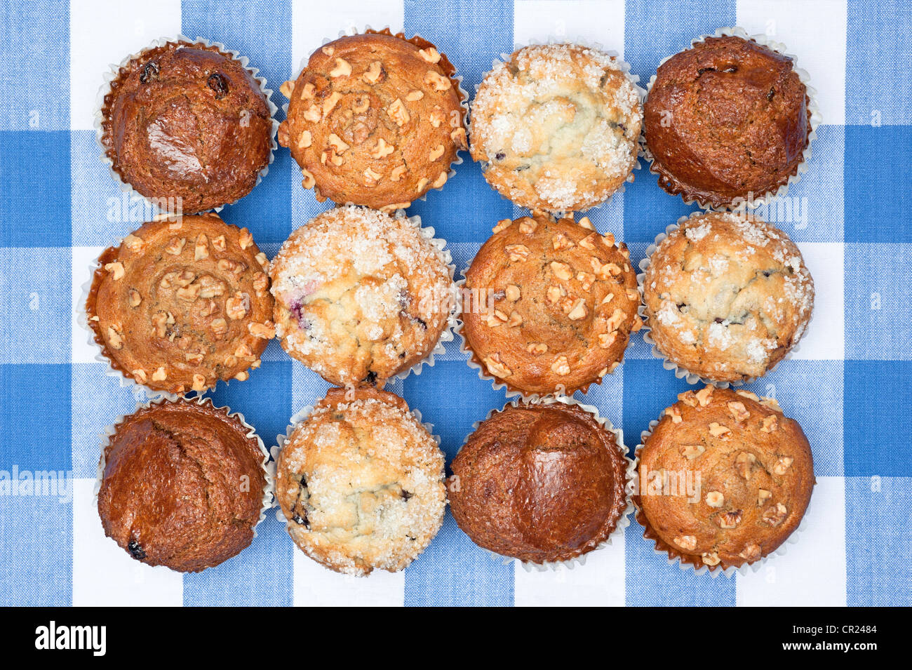 Un gruppo di pane appena sfornato prima colazione muffin compresi mirtillo, cioccolato, e noce in appoggio su una tovaglia a scacchi. Foto Stock
