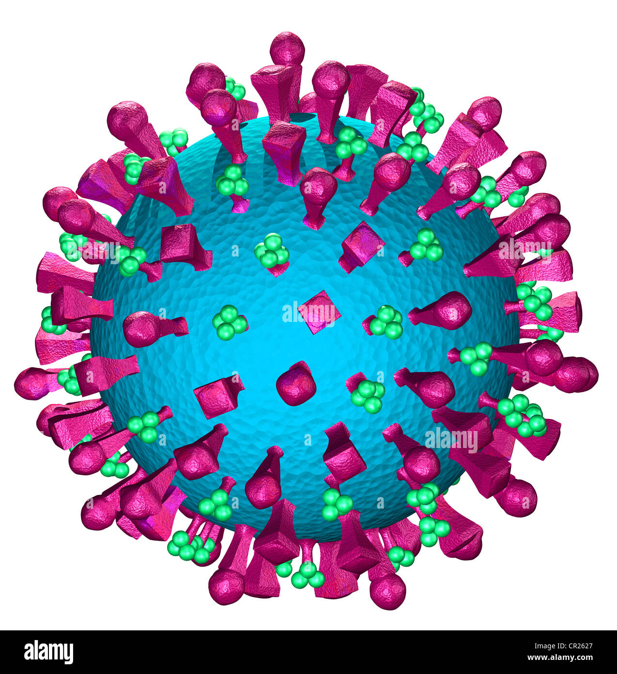 Le illustrazioni della struttura tipica di un virus umano Foto Stock