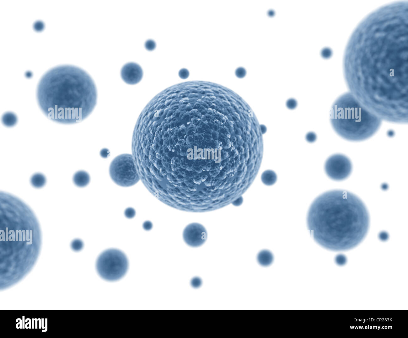 Cellule di batteri isolati su sfondo bianco Foto Stock
