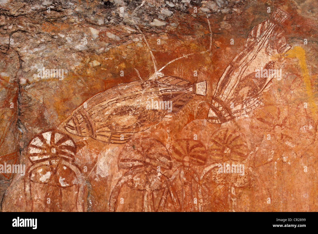 Arte rupestre degli Aborigeni raffiguranti pesci, Nourlangie, Parco Nazionale Kakadu, Territorio del Nord, l'Australia Foto Stock