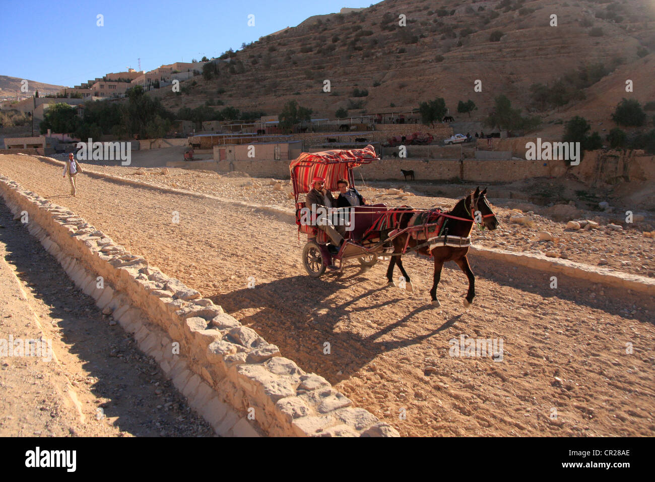 Carrello a cavallo portante turistico, PETRA, Giordania, MEDIO ORIENTE Foto Stock