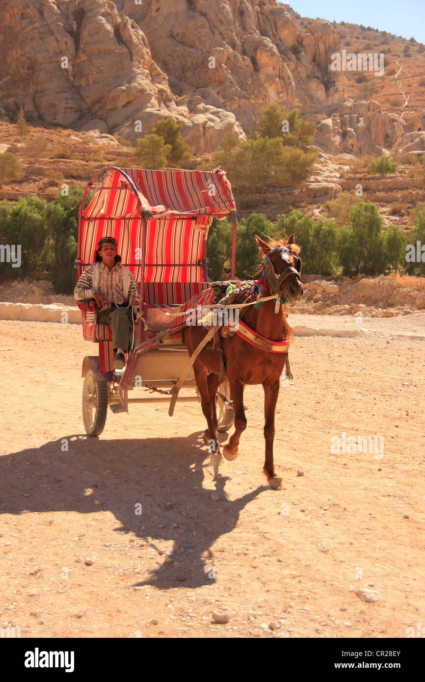 Carrello cavallo, Petra, Giordania, Medio Oriente Foto Stock