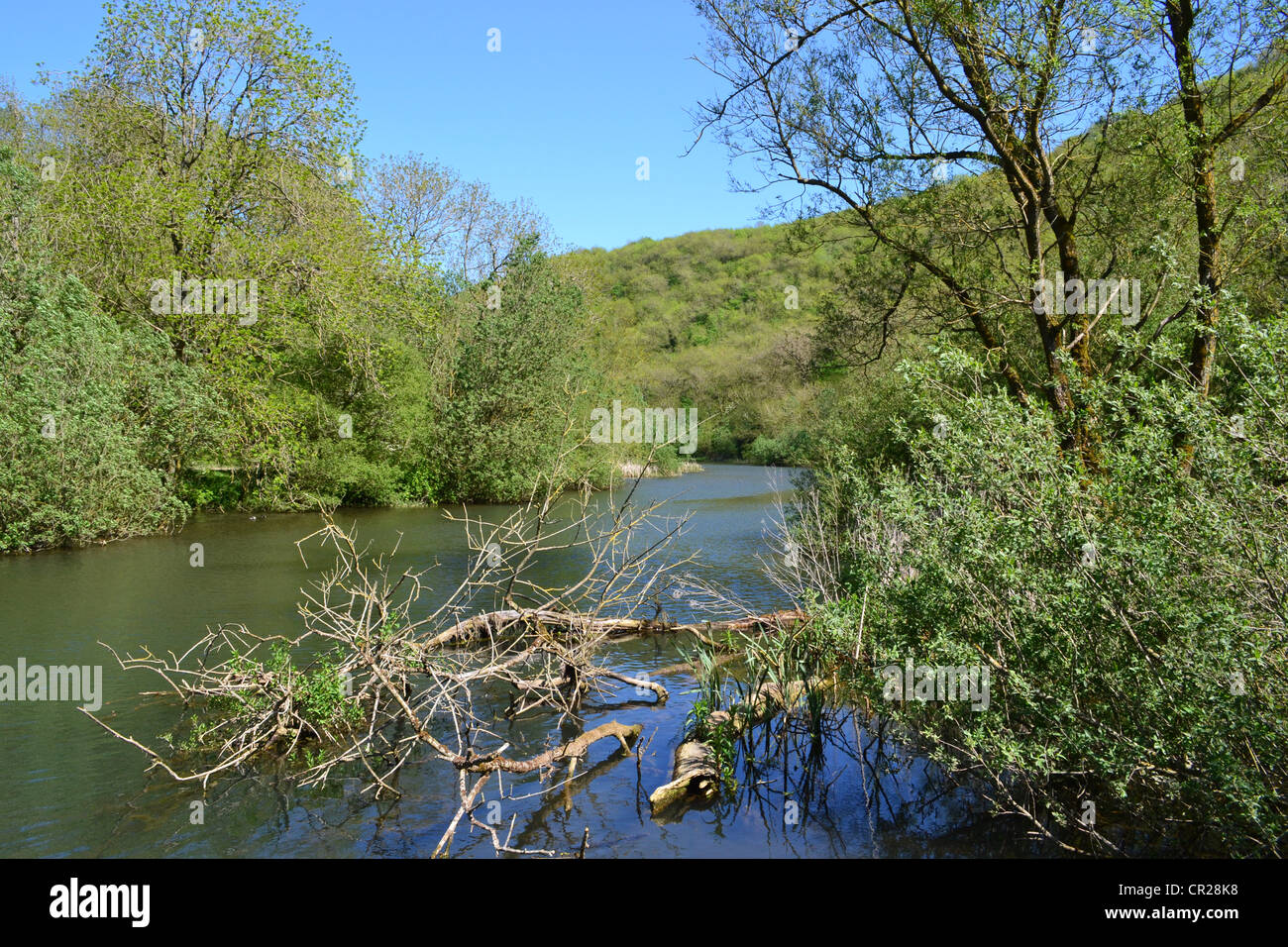 Stream, Monsal Dales, Peak District, Derbyshire, Regno Unito. Foto Stock