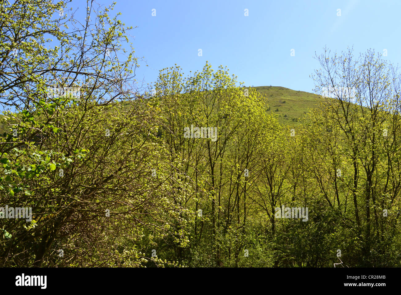 Alta vista. Foto Stock