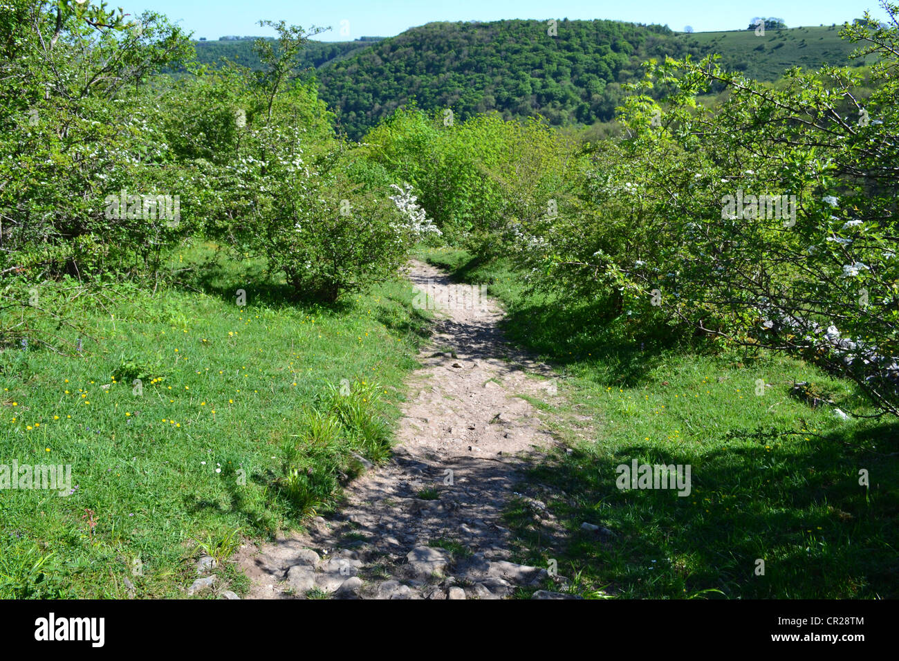 Lunga camminata. Foto Stock