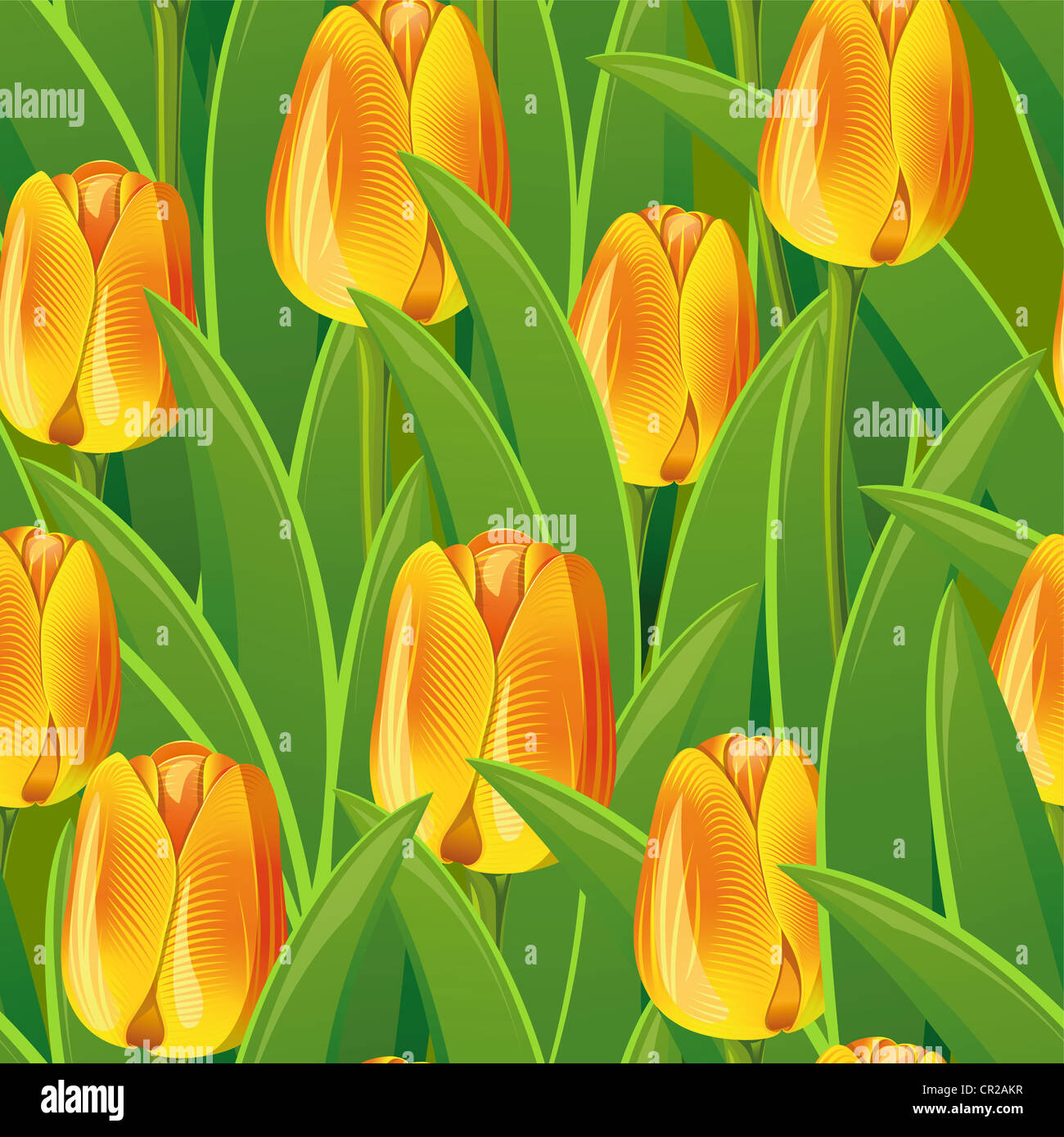 Perfetta da Tulipani gialli e foglie verdi Foto Stock