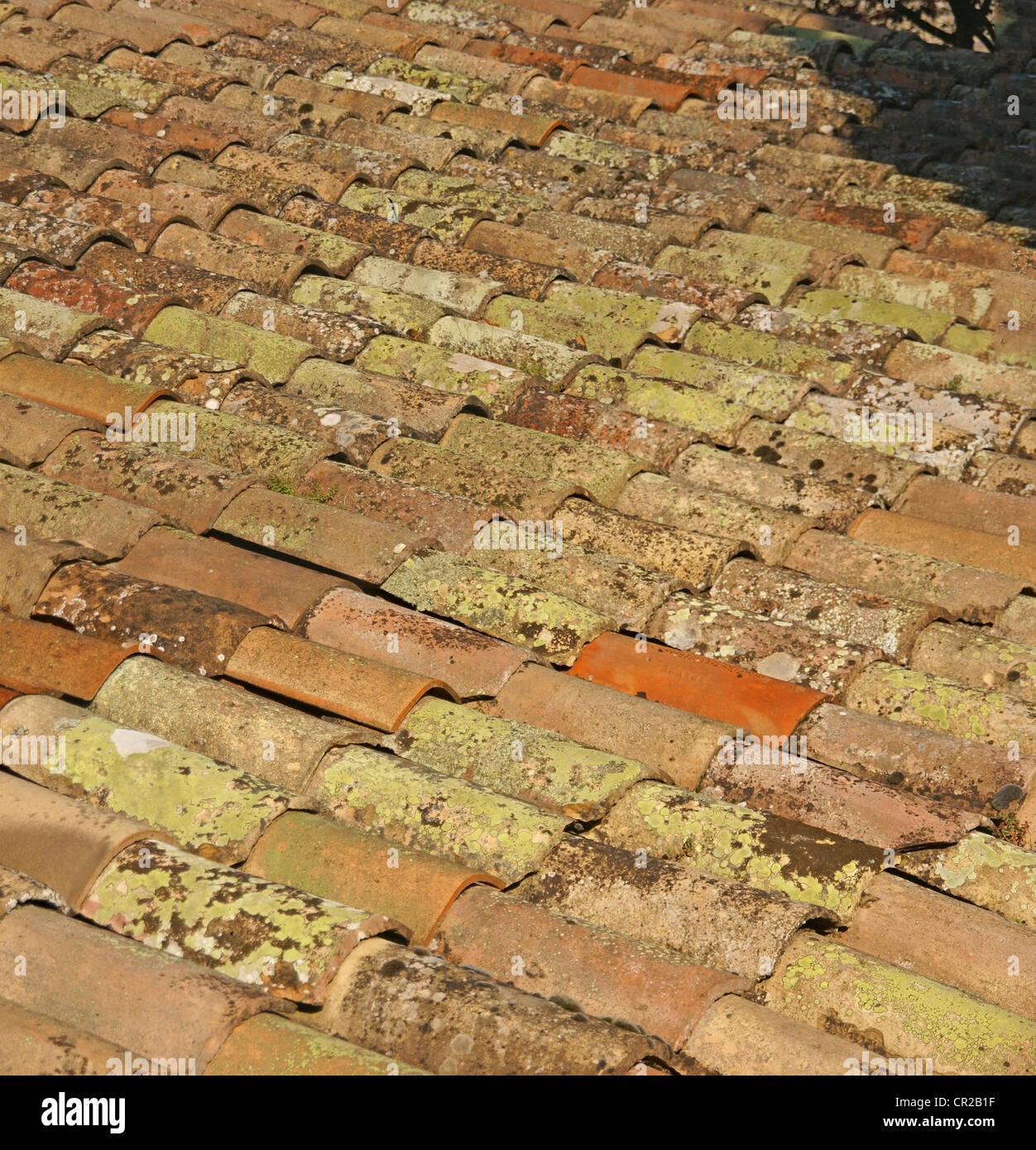 Dettaglio, le tegole variopinte, Vaison la Romaine, Francia Foto Stock