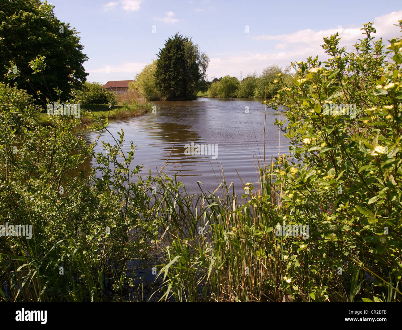 Pista Warily lago Fawley Inghilterra Hampshire REGNO UNITO Foto Stock